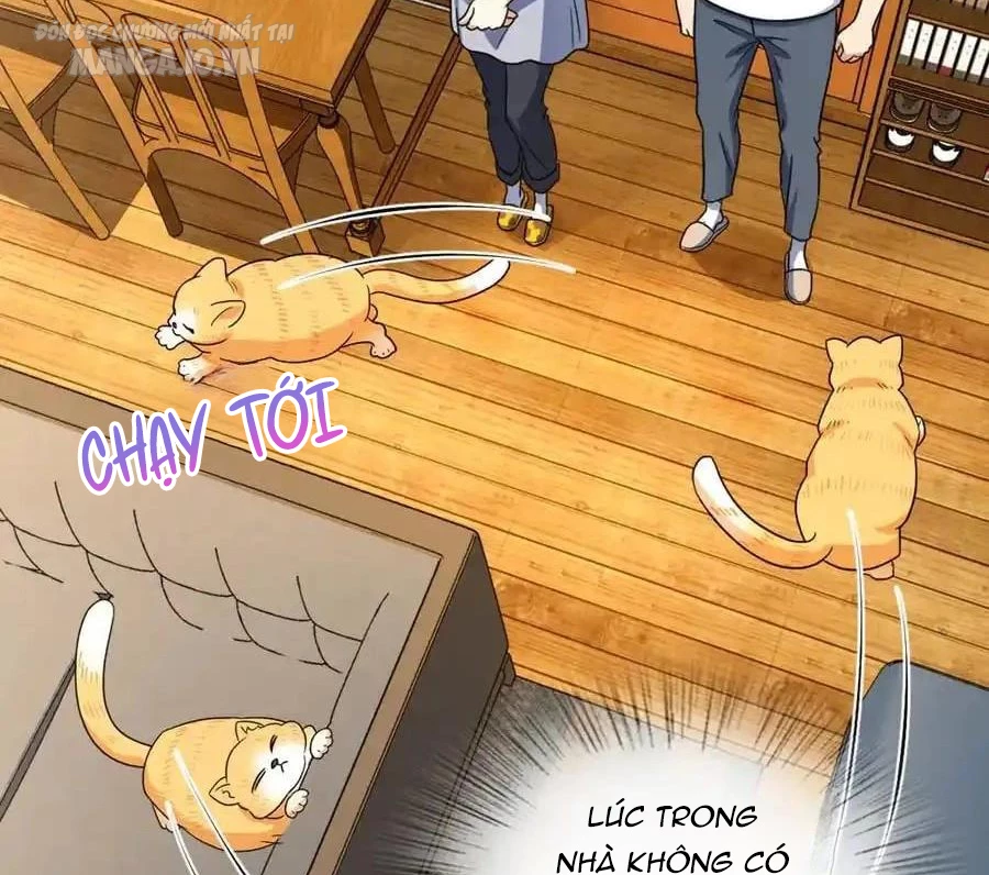 Bà Xã Nhà Tôi Đến Từ Ngàn Năm Trước Chapter 284 - Trang 4