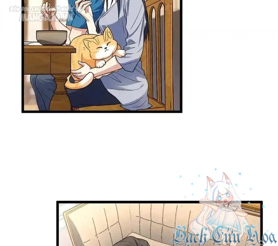 Bà Xã Nhà Tôi Đến Từ Ngàn Năm Trước Chapter 284 - Trang 4