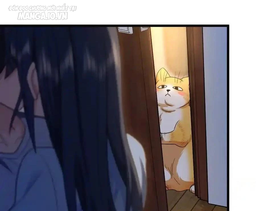 Bà Xã Nhà Tôi Đến Từ Ngàn Năm Trước Chapter 284 - Trang 4