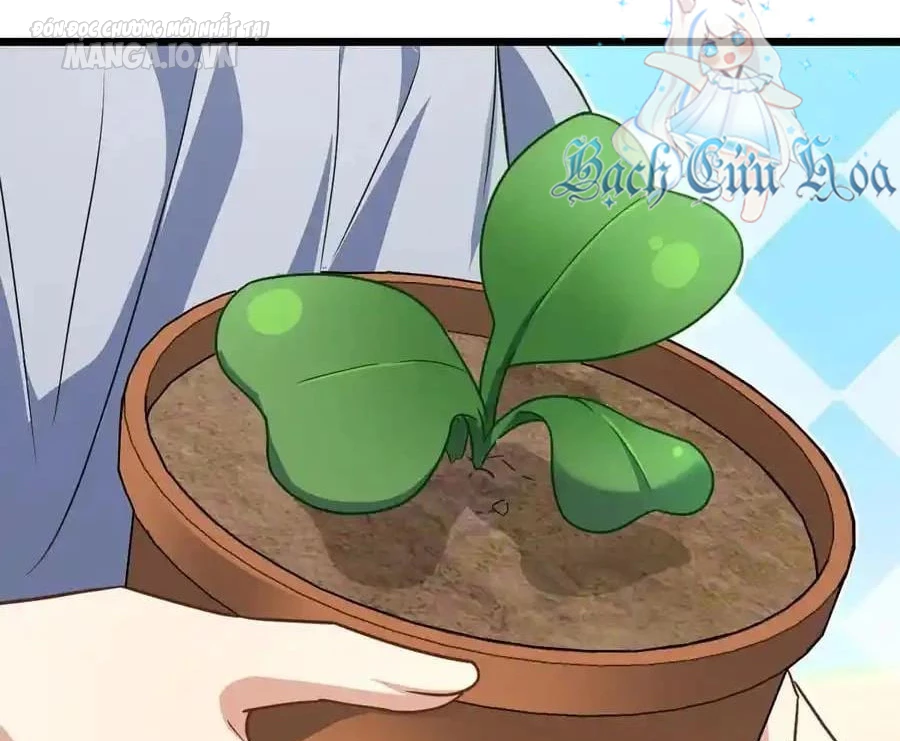 Bà Xã Nhà Tôi Đến Từ Ngàn Năm Trước Chapter 284 - Trang 4