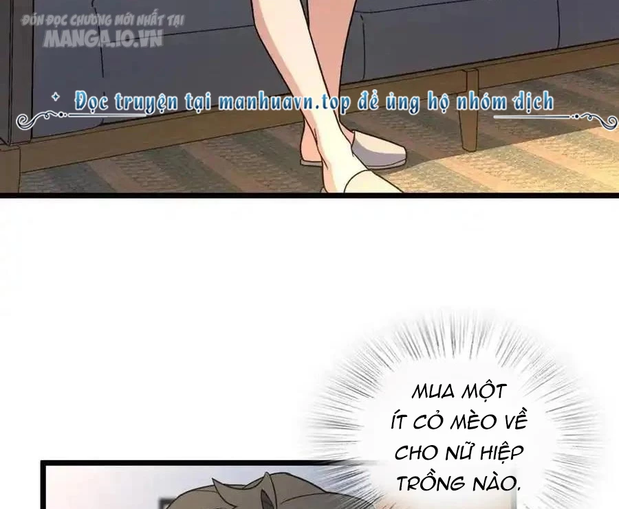 Bà Xã Nhà Tôi Đến Từ Ngàn Năm Trước Chapter 284 - Trang 4