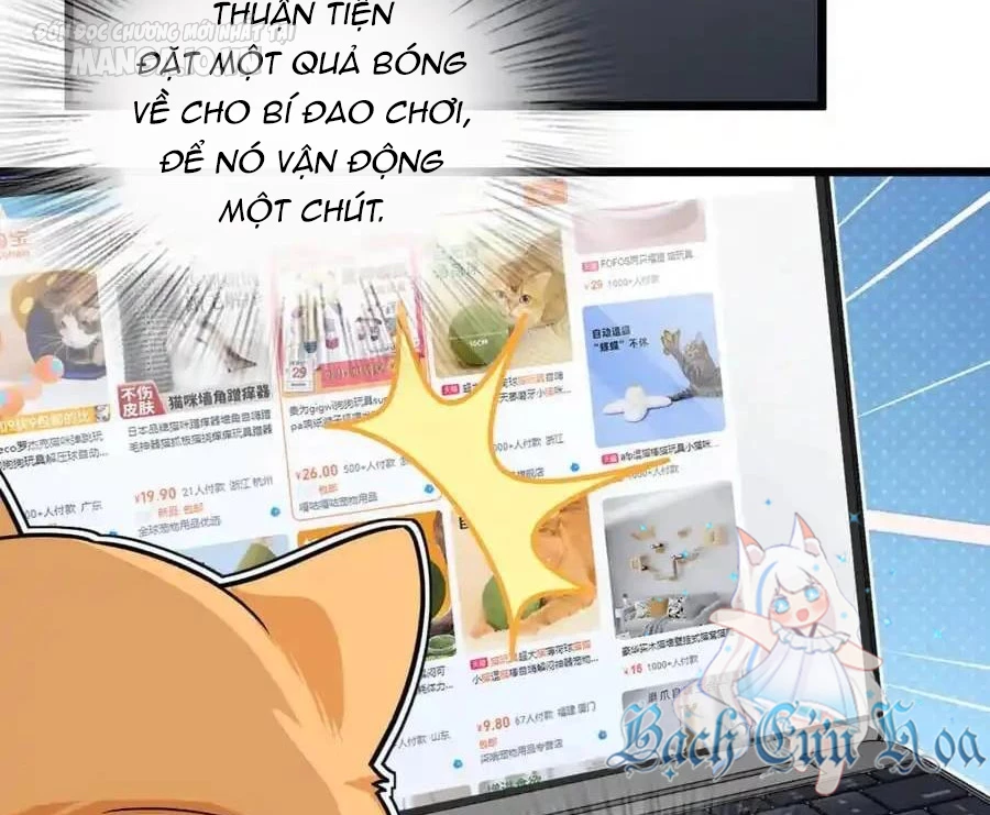 Bà Xã Nhà Tôi Đến Từ Ngàn Năm Trước Chapter 284 - Trang 4