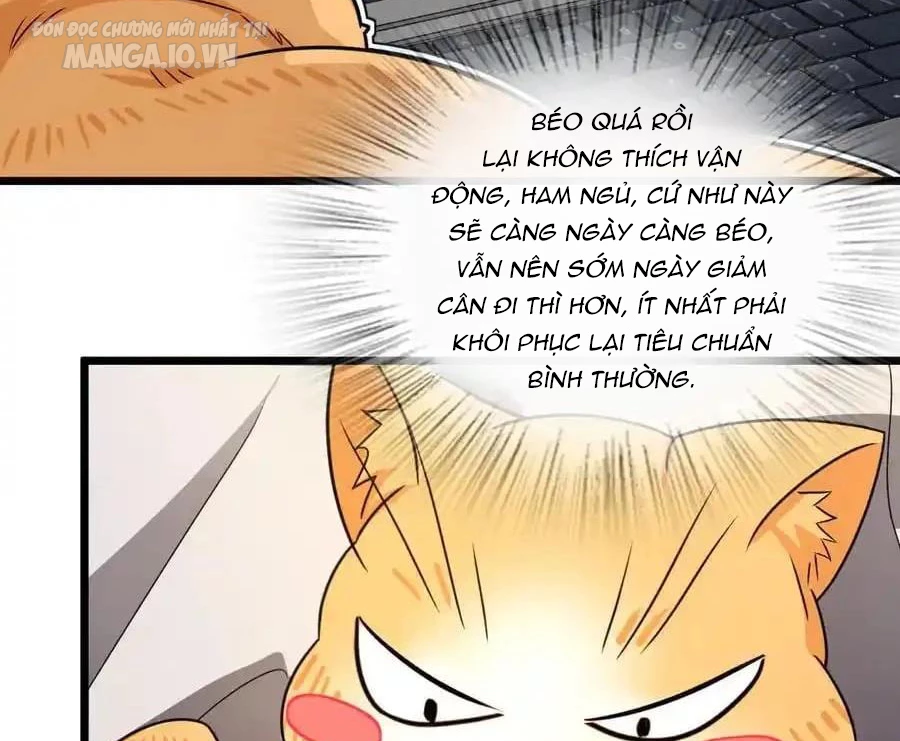 Bà Xã Nhà Tôi Đến Từ Ngàn Năm Trước Chapter 284 - Trang 4