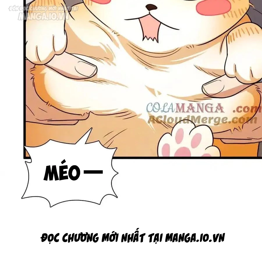 Bà Xã Nhà Tôi Đến Từ Ngàn Năm Trước Chapter 284 - Trang 4