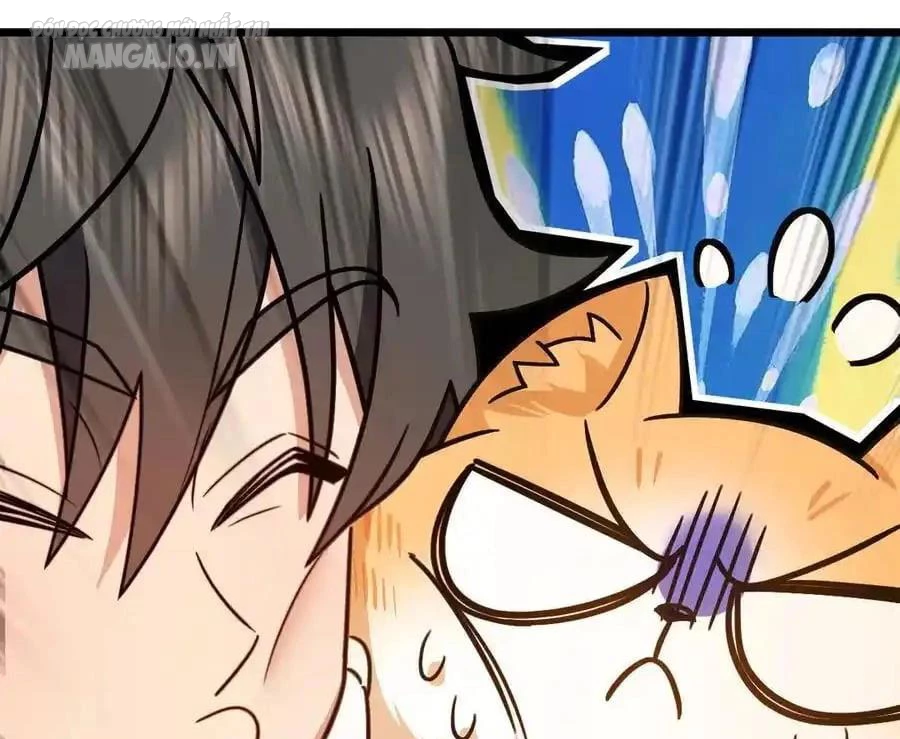 Bà Xã Nhà Tôi Đến Từ Ngàn Năm Trước Chapter 284 - Trang 4