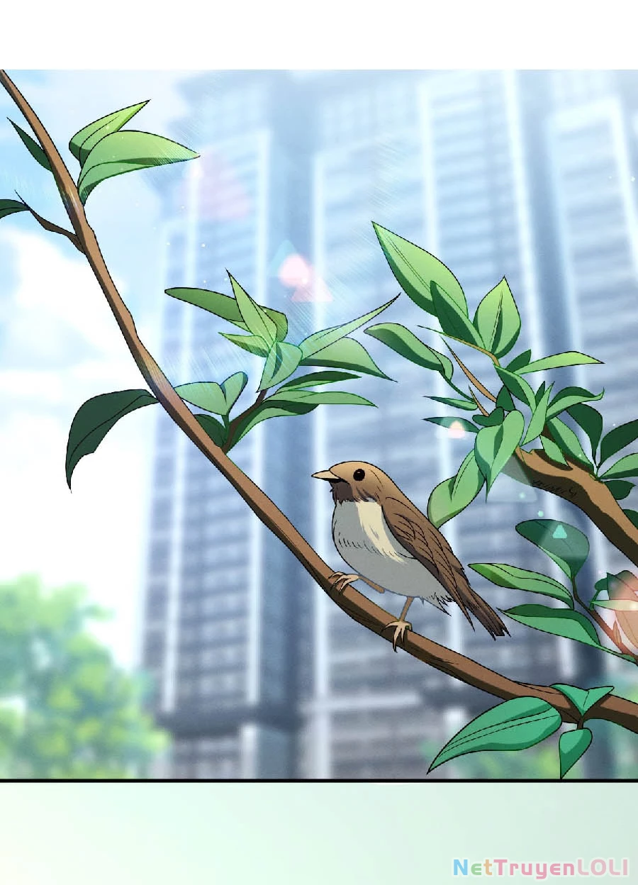 Vợ ơi xin hãy ngoan ngoãn nhé Chapter 6 - Trang 2