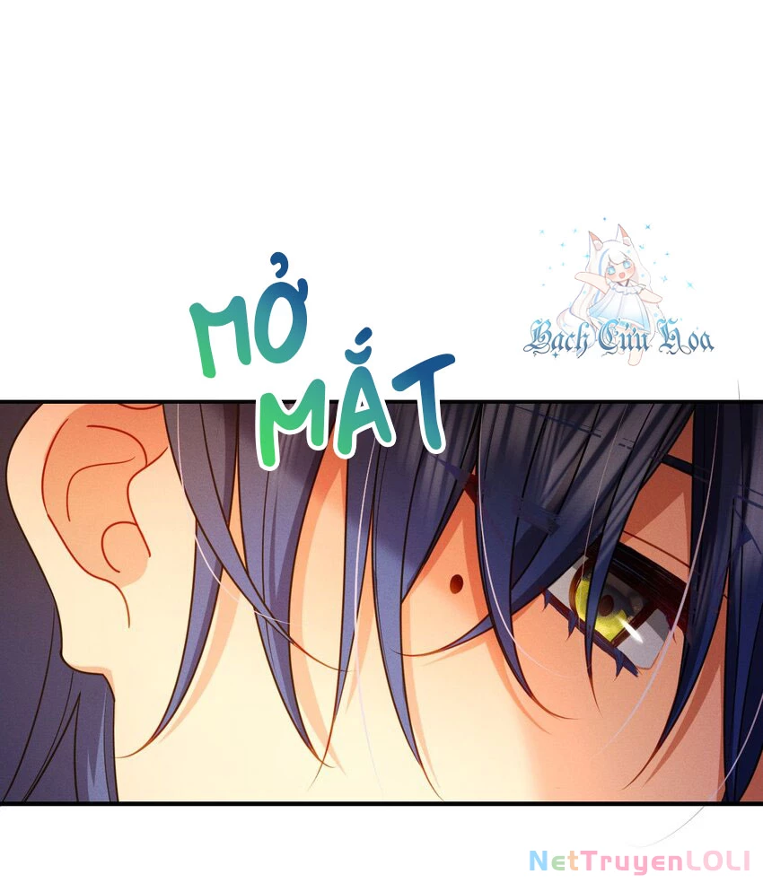 Vợ ơi xin hãy ngoan ngoãn nhé Chapter 11 - Trang 2