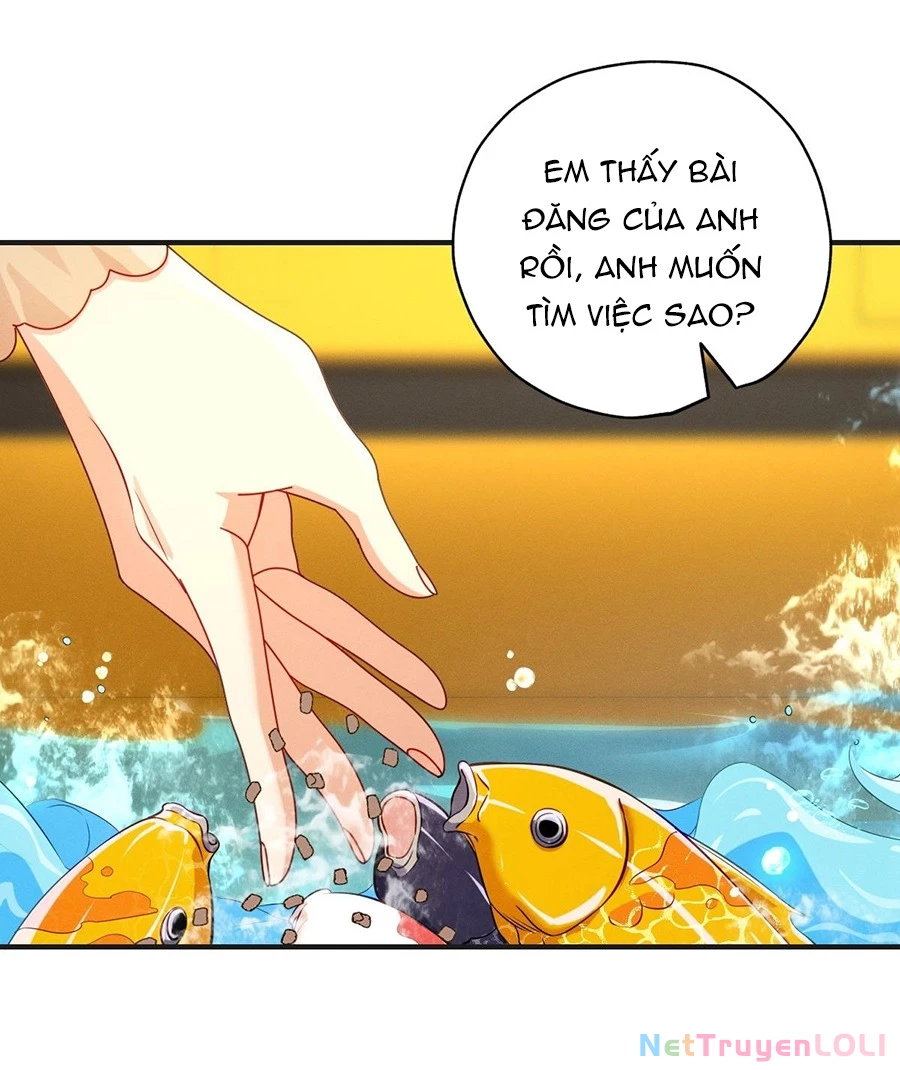 Vợ ơi xin hãy ngoan ngoãn nhé Chapter 18 - Trang 2