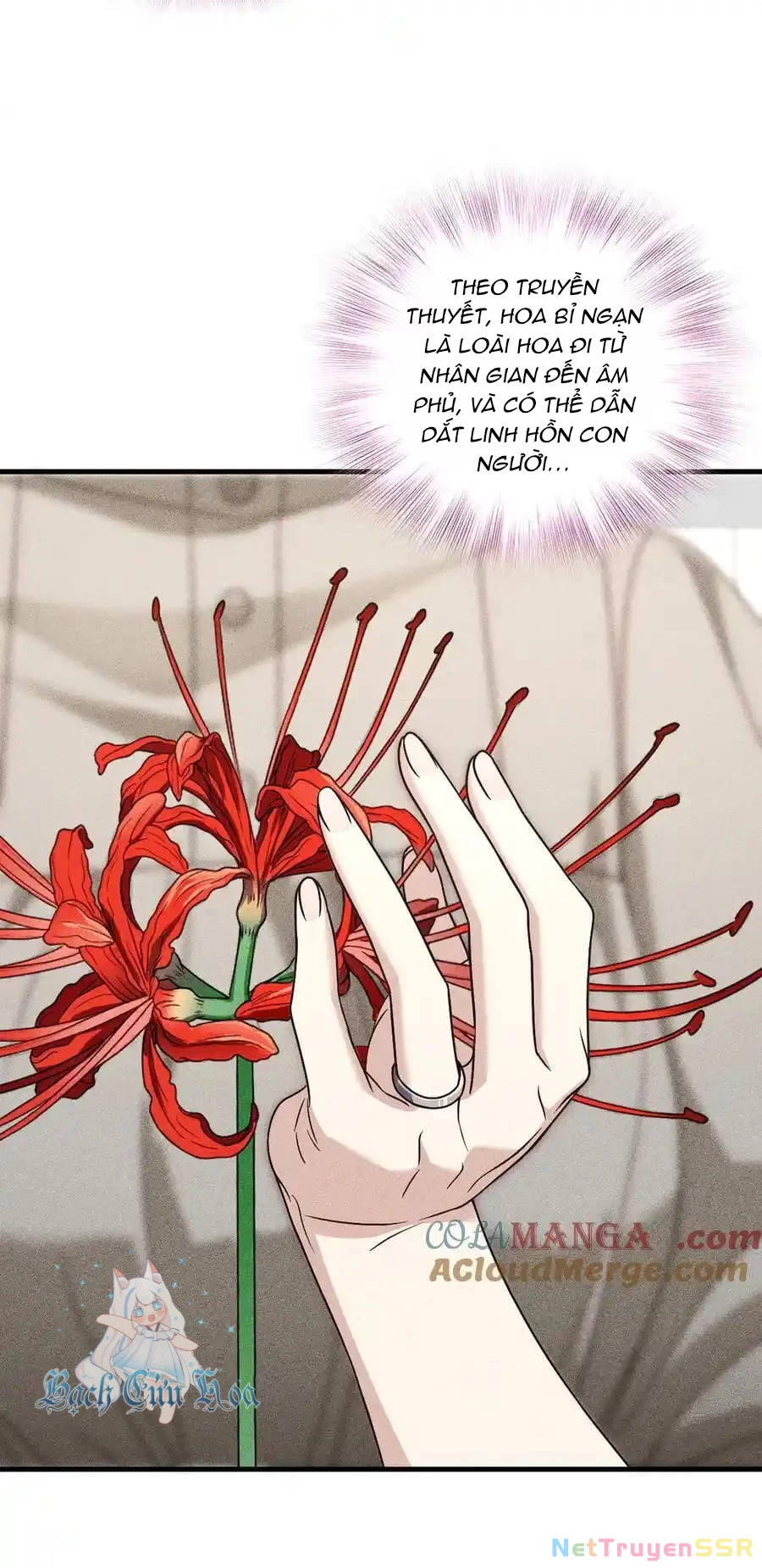 Vợ ơi xin hãy ngoan ngoãn nhé Chapter 56 - Trang 2