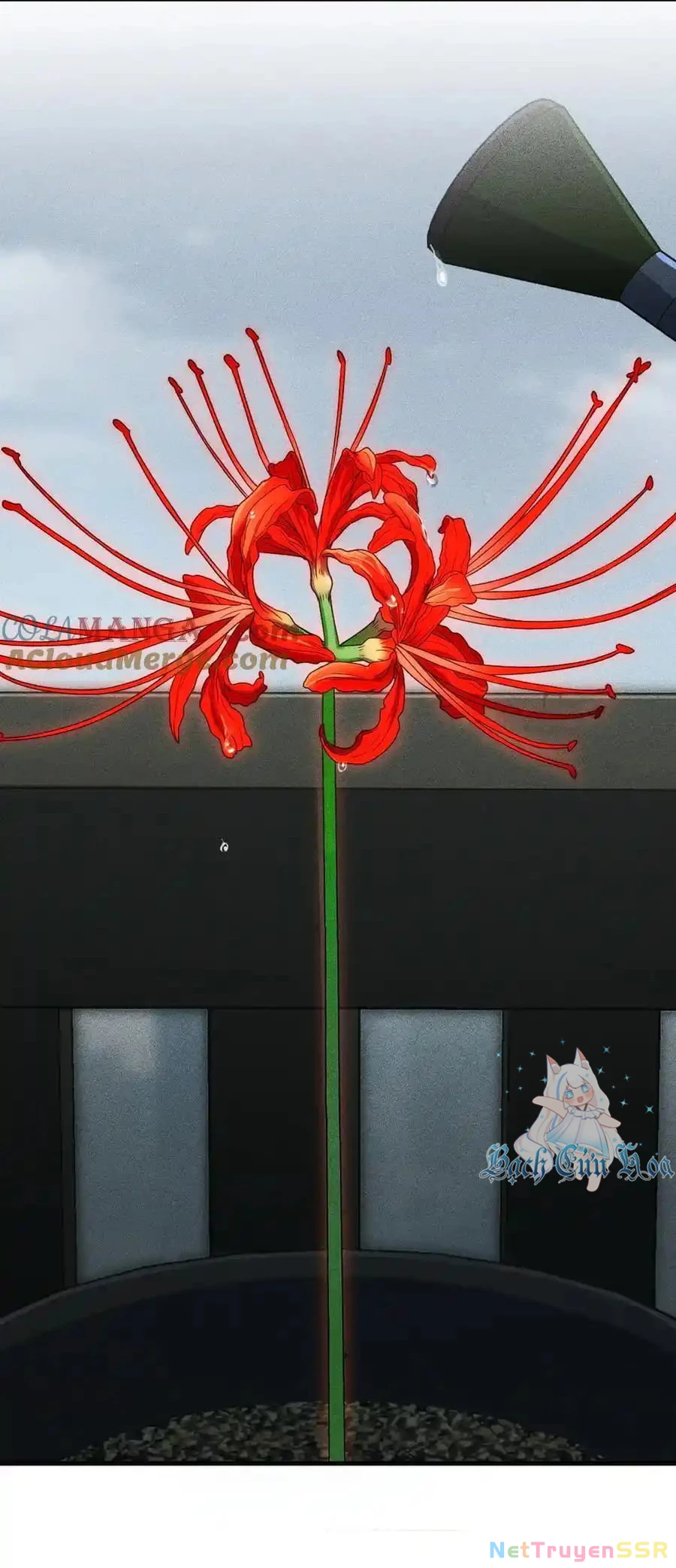 Vợ ơi xin hãy ngoan ngoãn nhé Chapter 59 - Trang 2