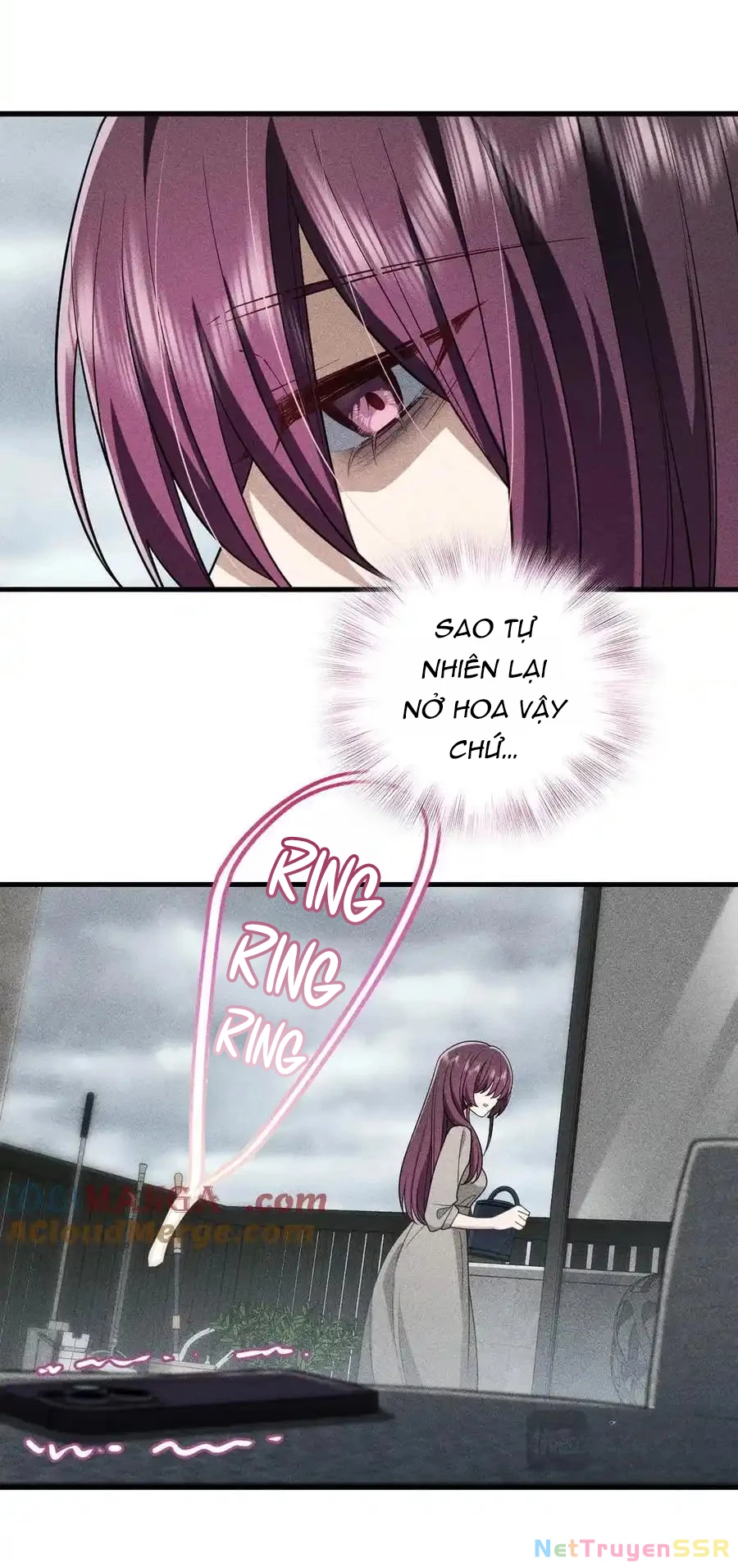 Vợ ơi xin hãy ngoan ngoãn nhé Chapter 59 - Trang 2