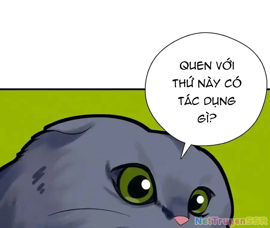 Vợ ơi xin hãy ngoan ngoãn nhé Chapter 64 - Trang 2