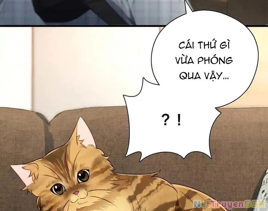 Vợ ơi xin hãy ngoan ngoãn nhé Chapter 66 - Trang 2