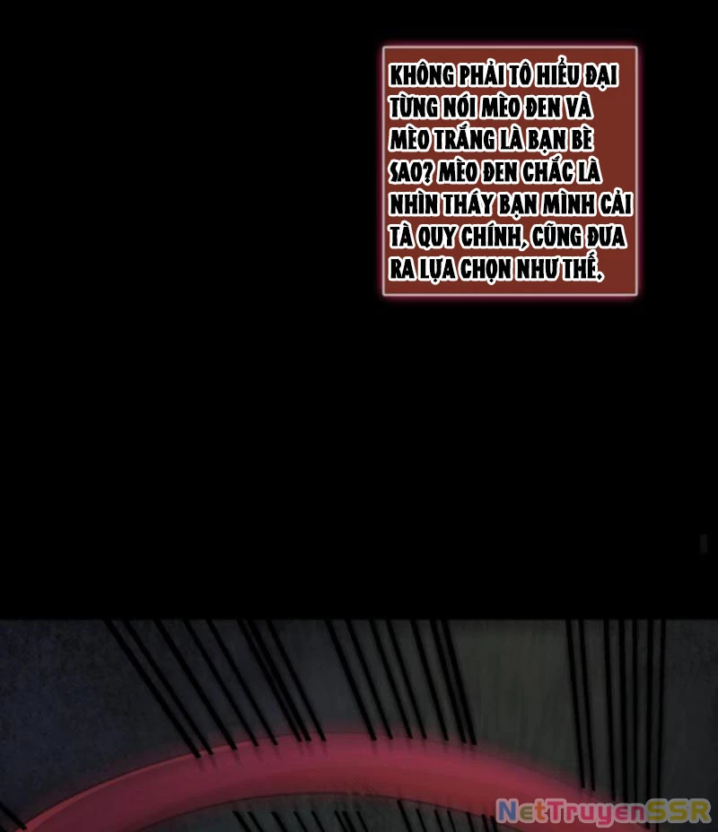 Quy Tắc Chuyện Lạ: Bắt Đầu Hóa Thân Đánh Lui Chiến Thần Chapter 184 - Trang 2