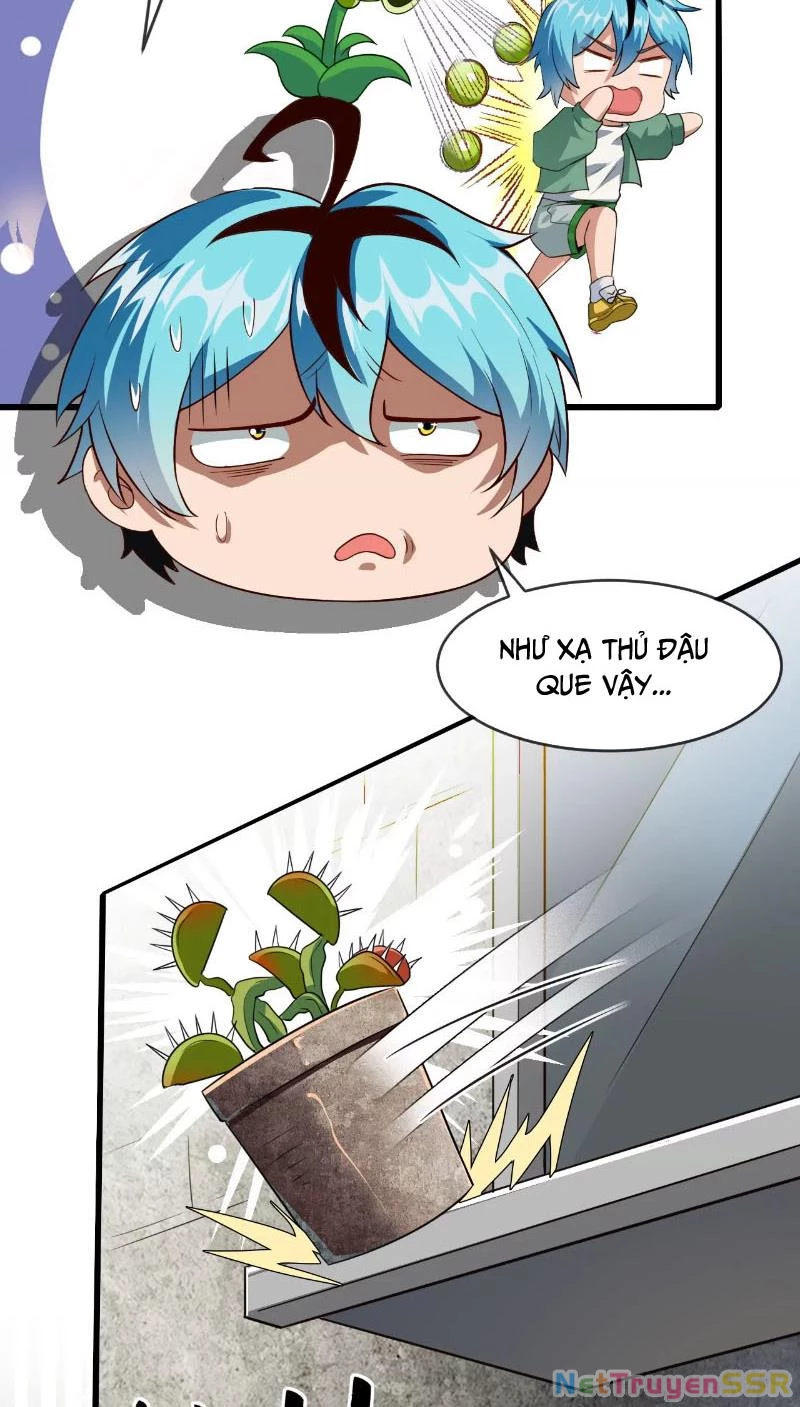 Thôn phệ đi, đại chùy hoa Chapter 1 - Trang 2