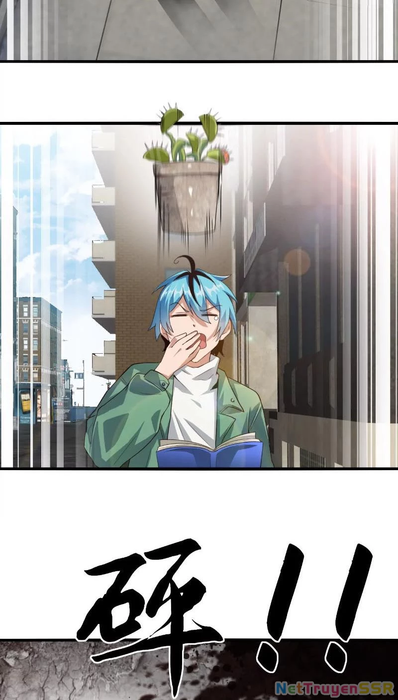 Thôn phệ đi, đại chùy hoa Chapter 1 - Trang 2