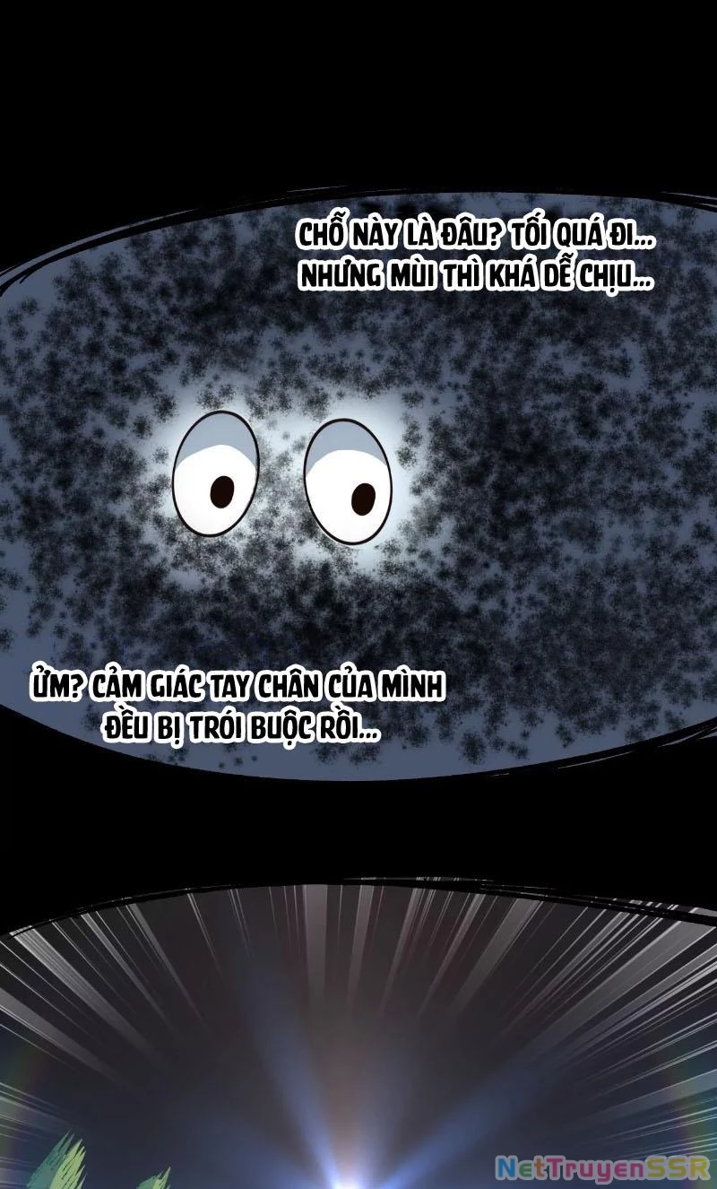 Thôn phệ đi, đại chùy hoa Chapter 1 - Trang 2