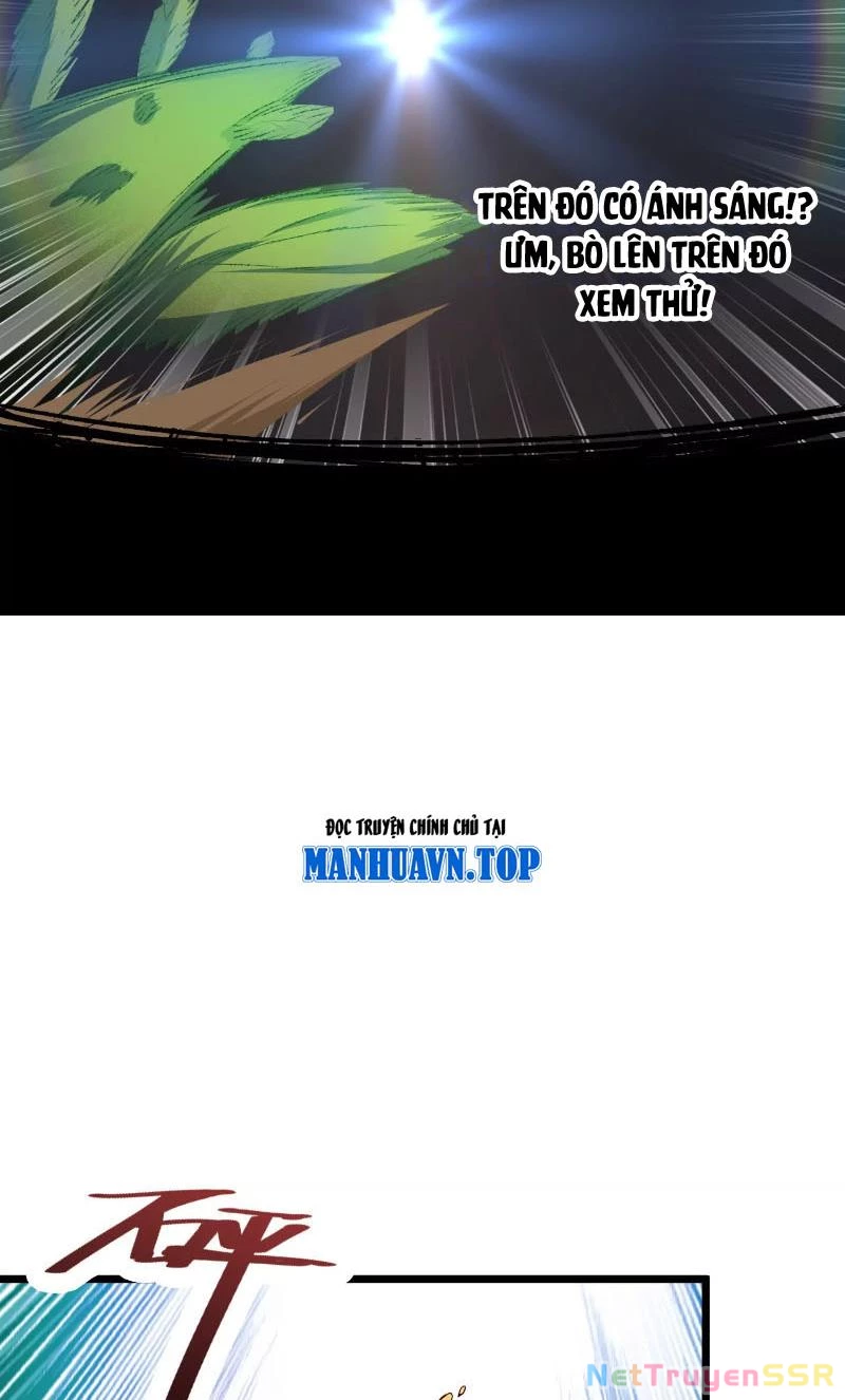 Thôn phệ đi, đại chùy hoa Chapter 1 - Trang 2