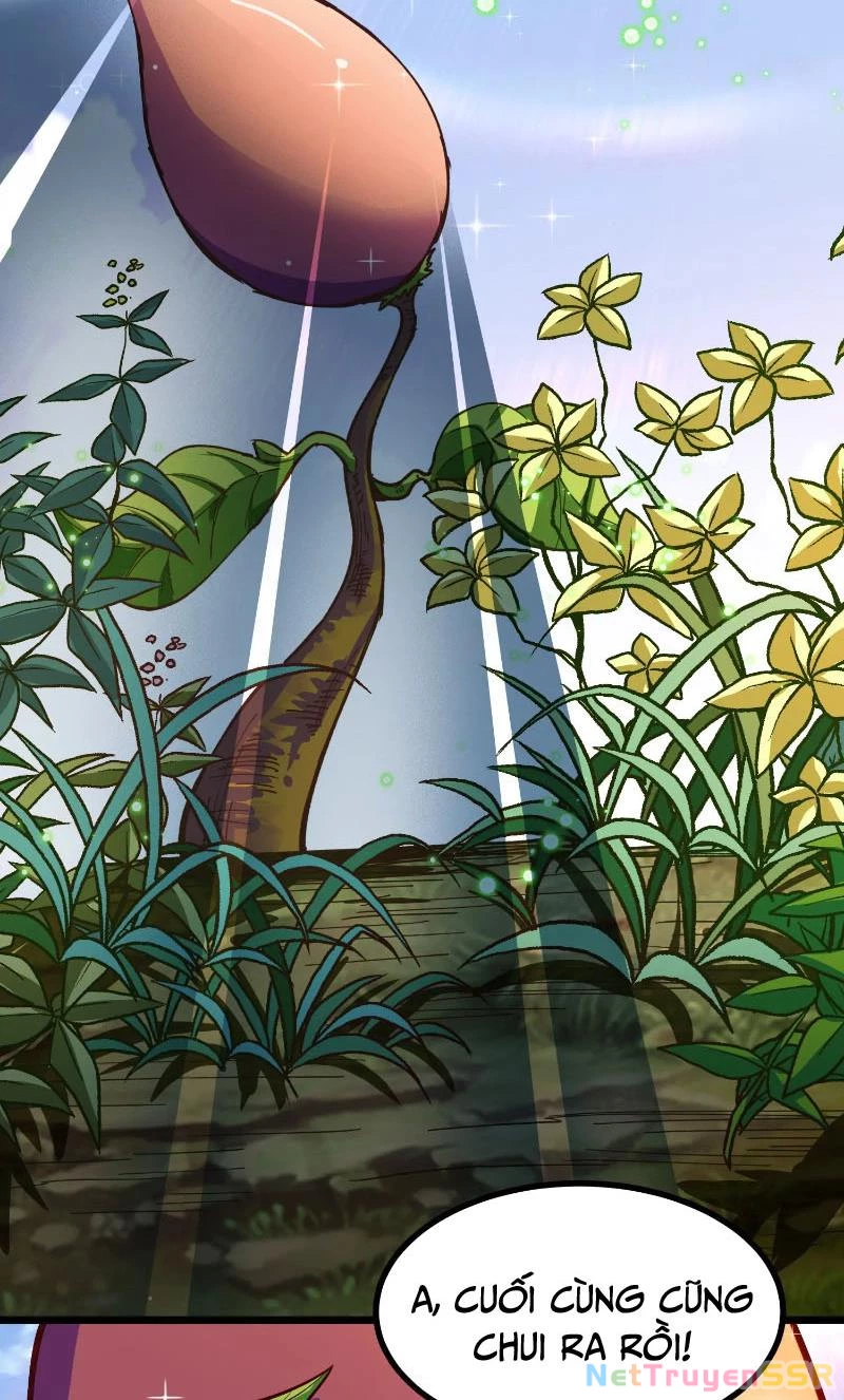 Thôn phệ đi, đại chùy hoa Chapter 1 - Trang 2