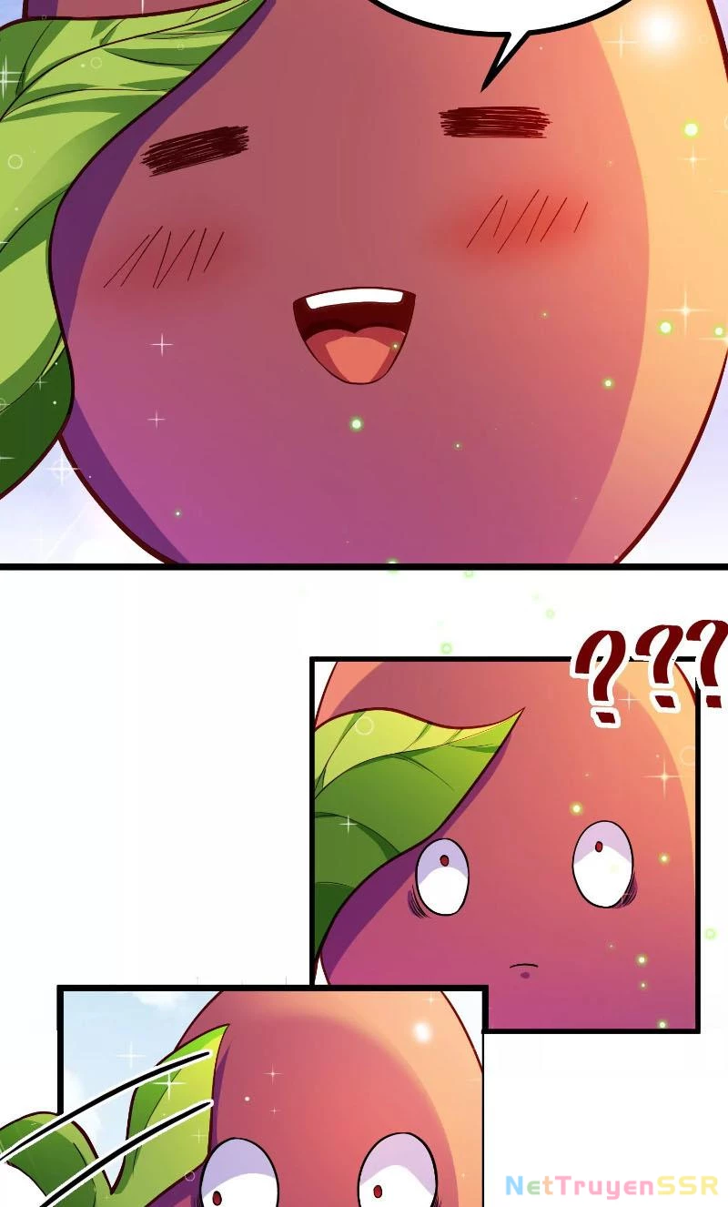 Thôn phệ đi, đại chùy hoa Chapter 1 - Trang 2