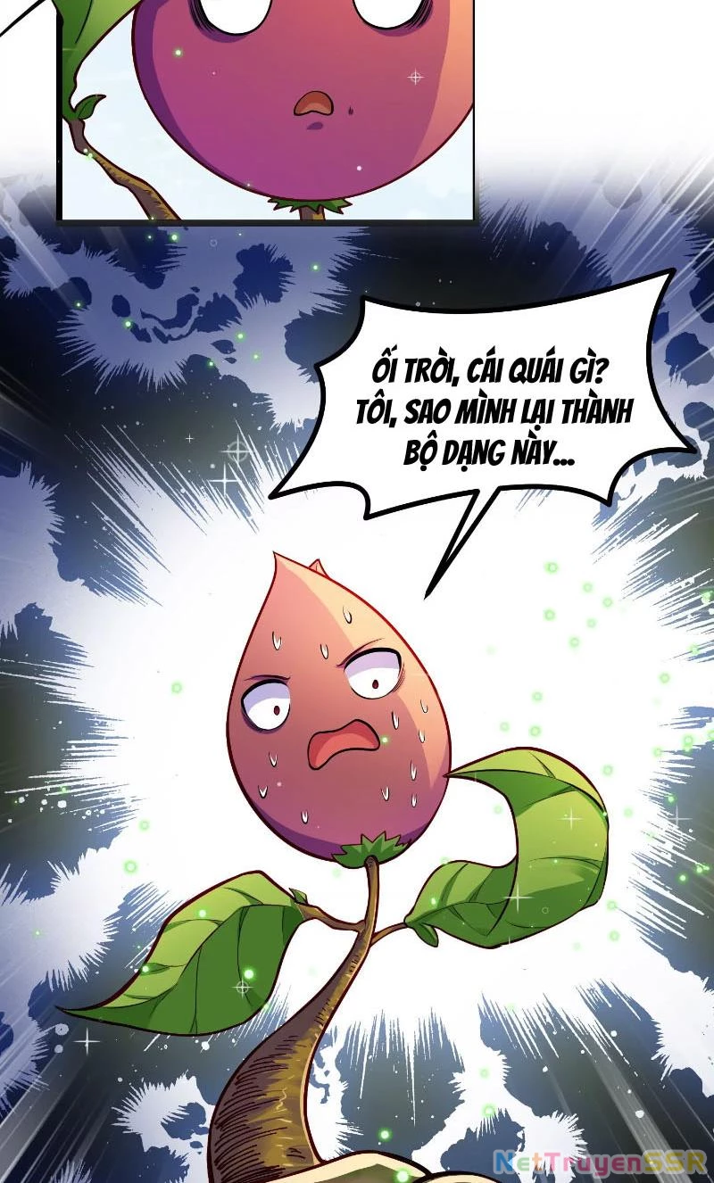 Thôn phệ đi, đại chùy hoa Chapter 1 - Trang 2