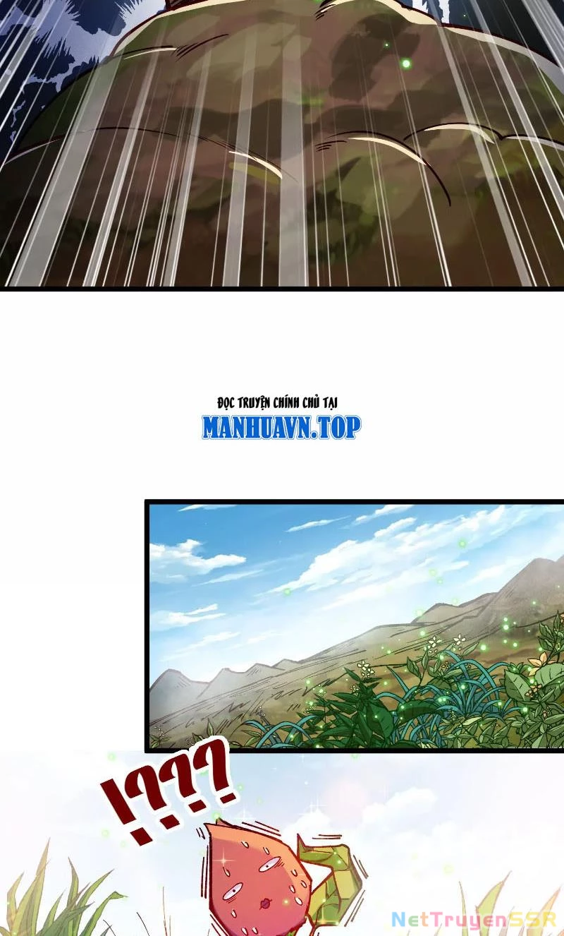 Thôn phệ đi, đại chùy hoa Chapter 1 - Trang 2