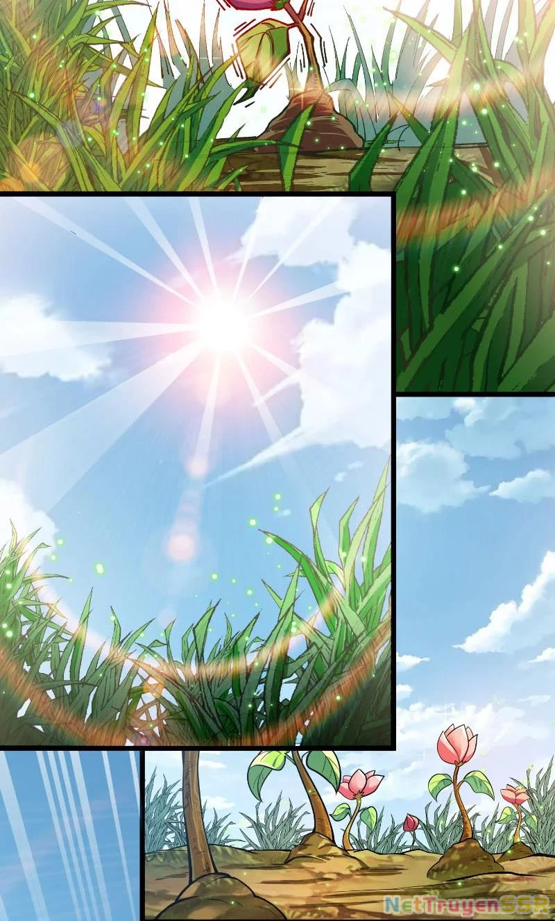 Thôn phệ đi, đại chùy hoa Chapter 1 - Trang 2