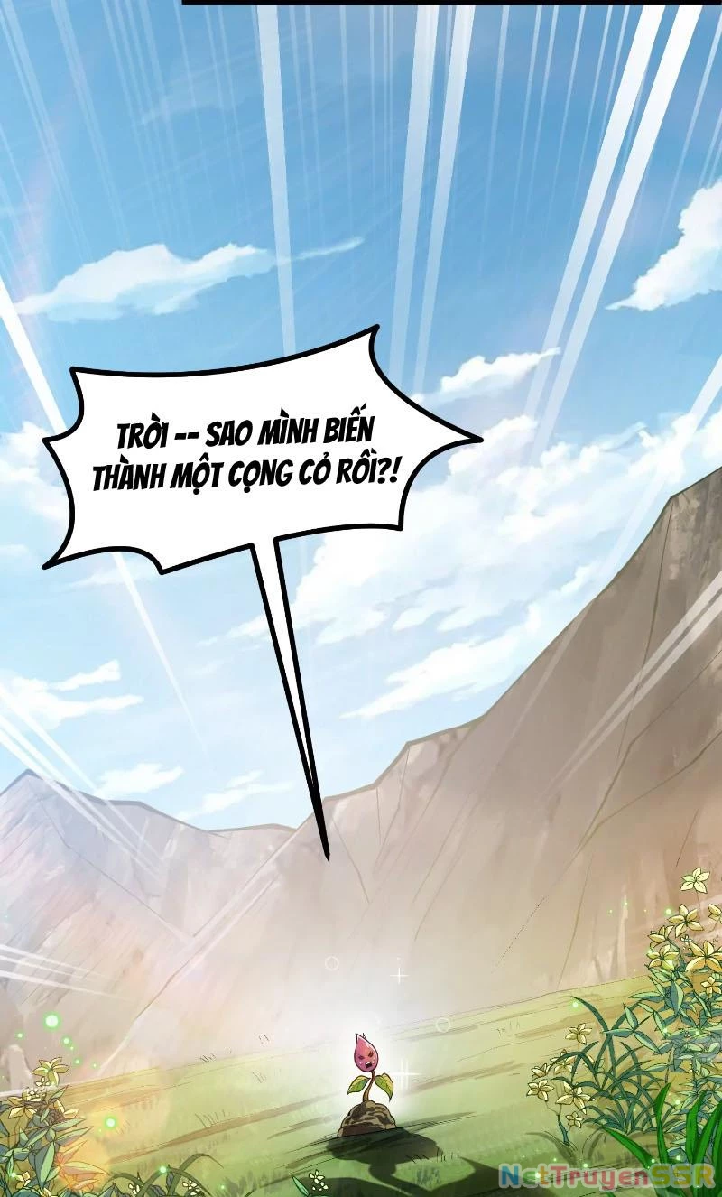 Thôn phệ đi, đại chùy hoa Chapter 1 - Trang 2