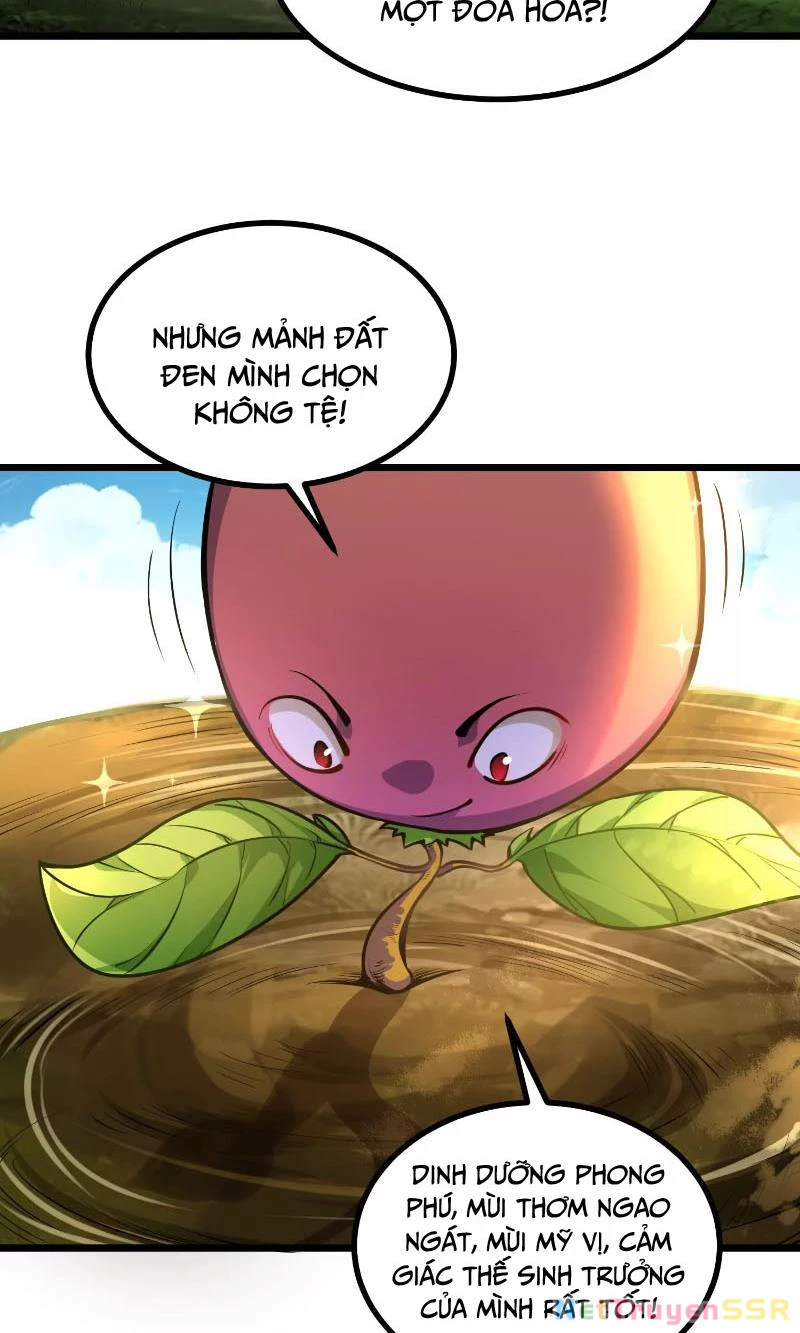 Thôn phệ đi, đại chùy hoa Chapter 1 - Trang 2