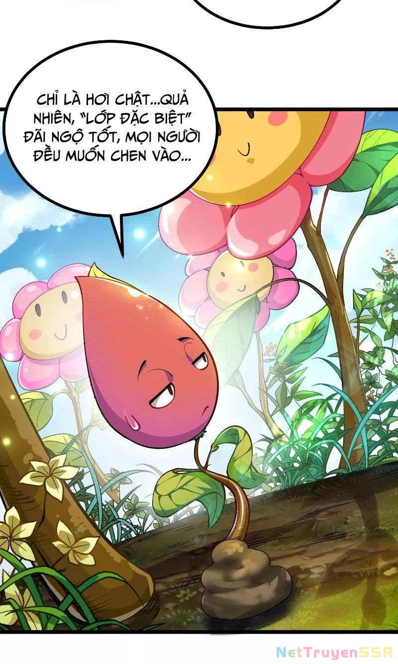 Thôn phệ đi, đại chùy hoa Chapter 1 - Trang 2