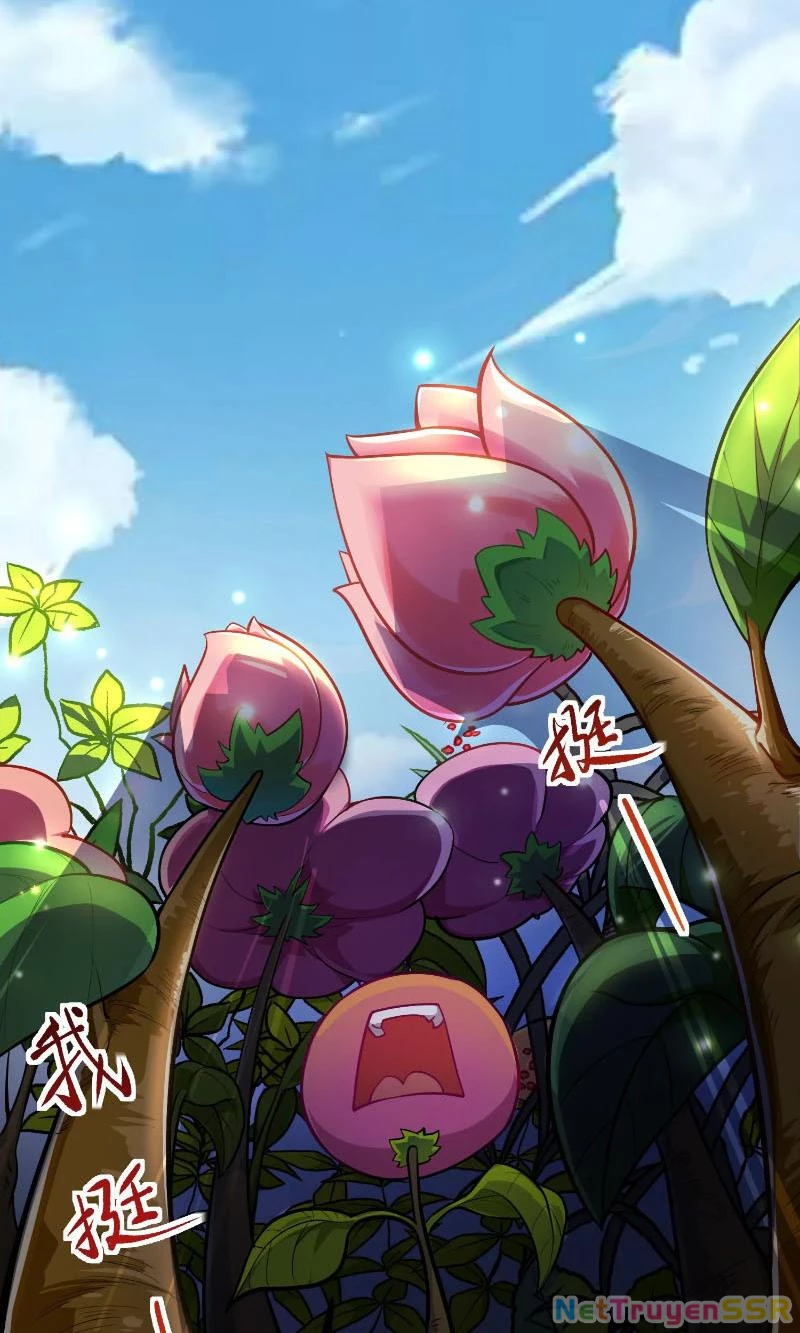 Thôn phệ đi, đại chùy hoa Chapter 1 - Trang 2