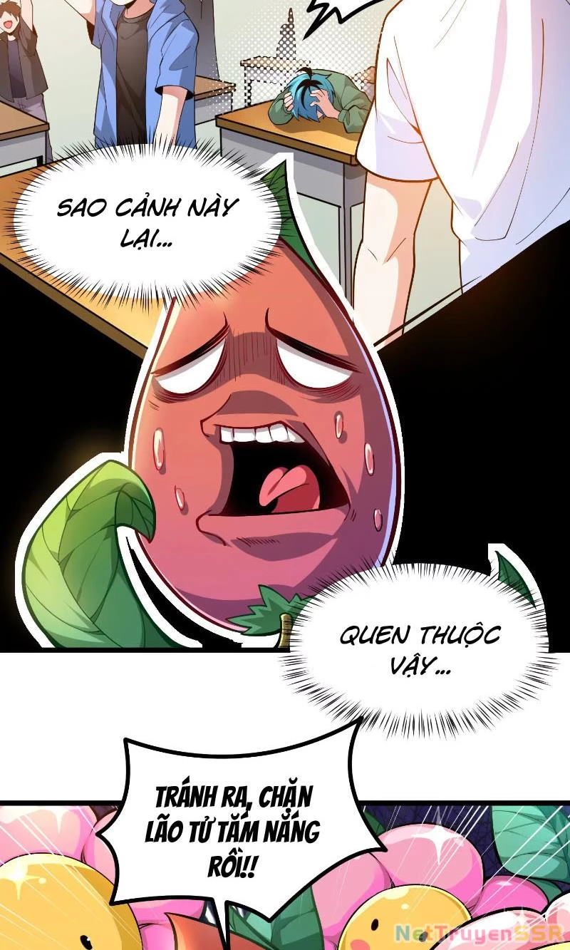 Thôn phệ đi, đại chùy hoa Chapter 1 - Trang 2