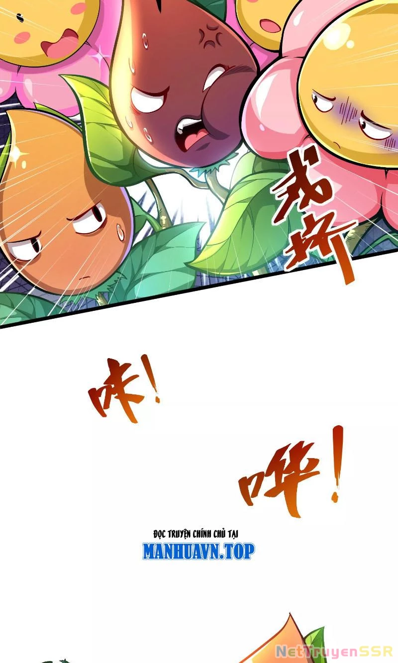 Thôn phệ đi, đại chùy hoa Chapter 1 - Trang 2
