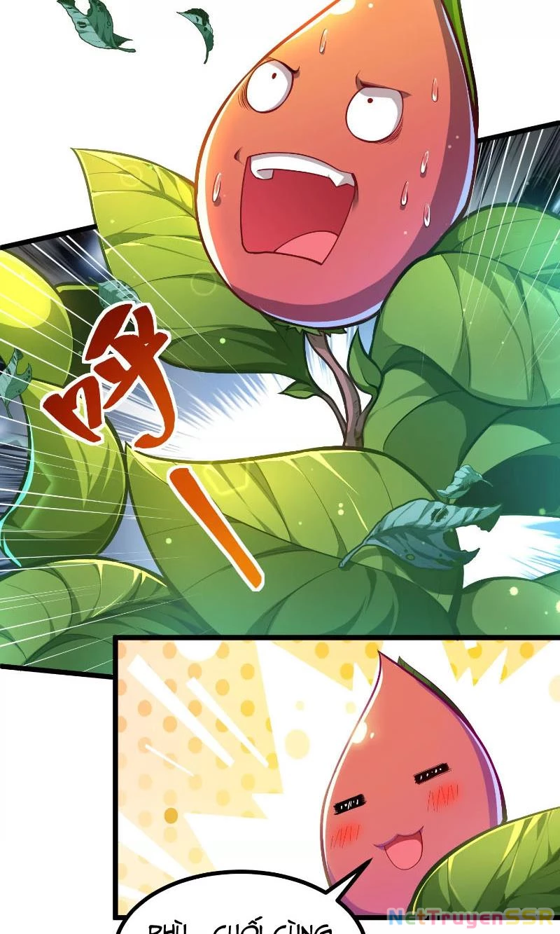 Thôn phệ đi, đại chùy hoa Chapter 1 - Trang 2