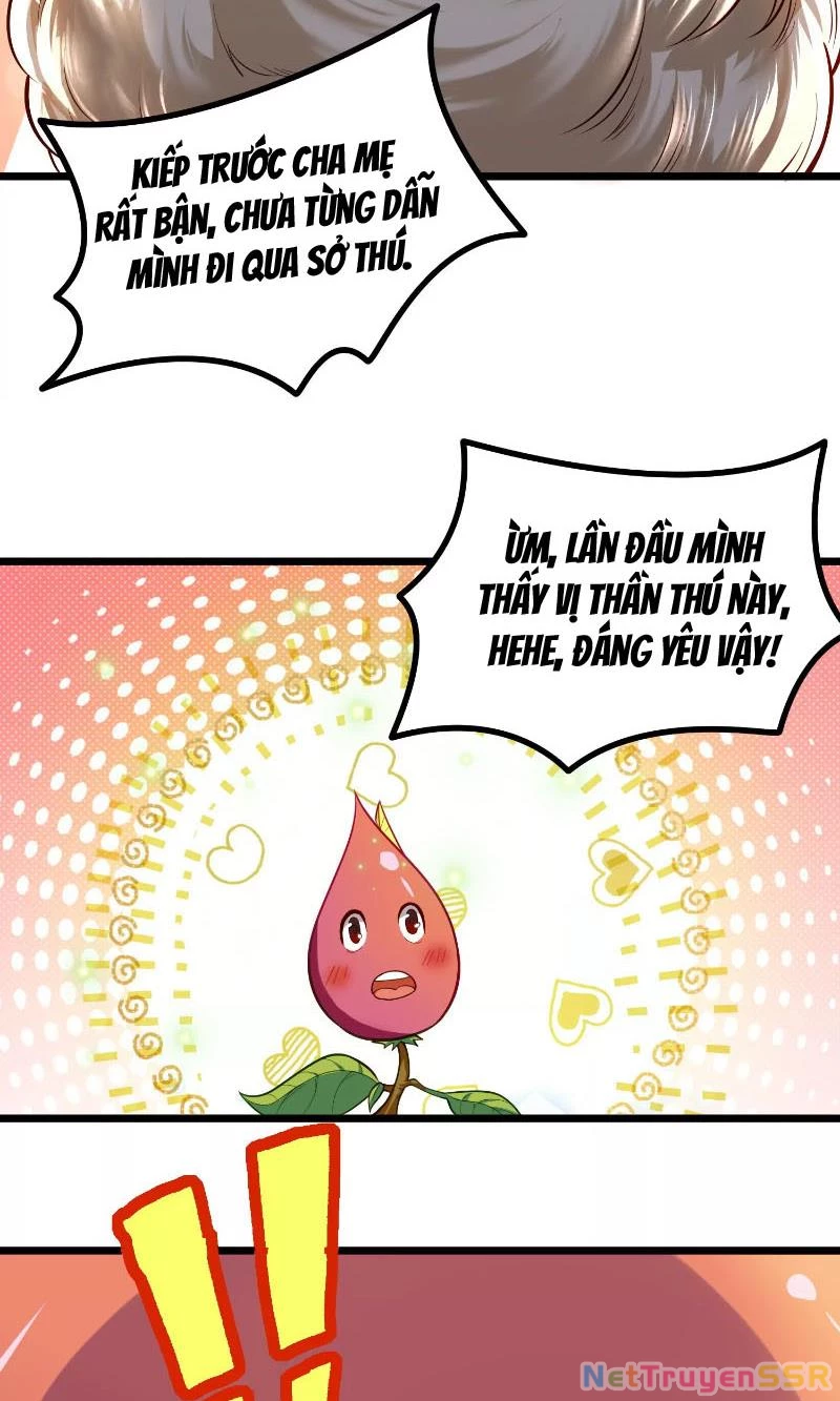 Thôn phệ đi, đại chùy hoa Chapter 1 - Trang 2