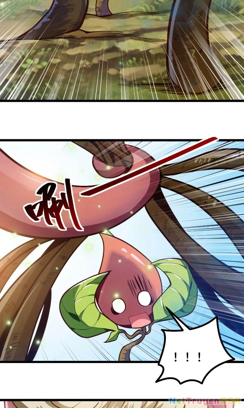 Thôn phệ đi, đại chùy hoa Chapter 1 - Trang 2