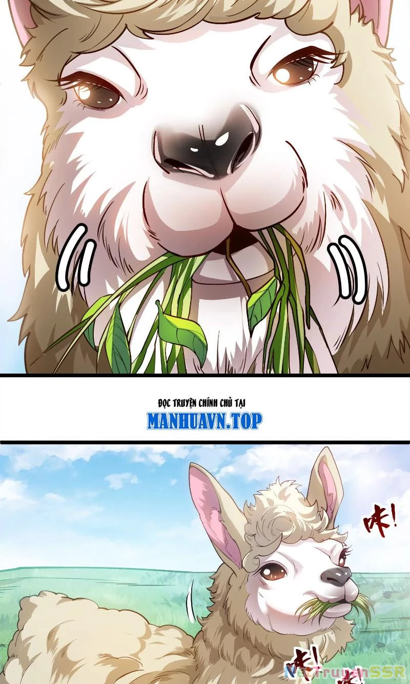 Thôn phệ đi, đại chùy hoa Chapter 1 - Trang 2