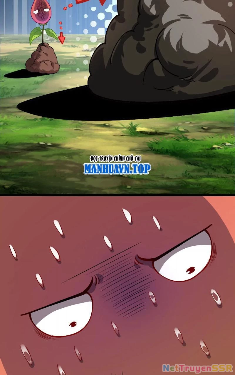 Thôn phệ đi, đại chùy hoa Chapter 1 - Trang 2