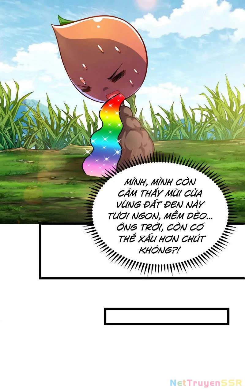 Thôn phệ đi, đại chùy hoa Chapter 1 - Trang 2