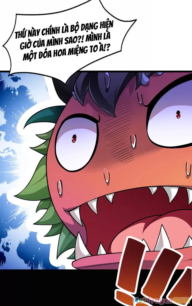 Thôn phệ đi, đại chùy hoa Chapter 1 - Trang 2