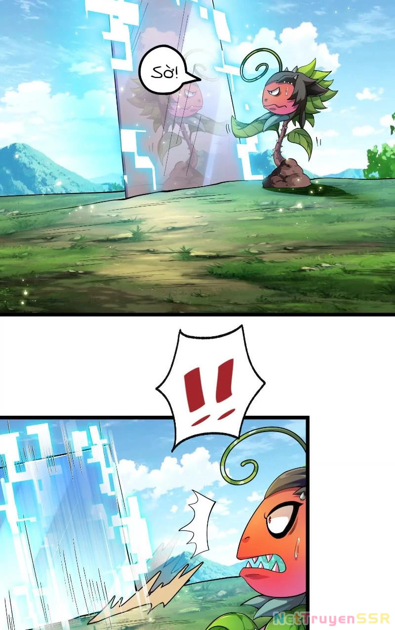 Thôn phệ đi, đại chùy hoa Chapter 1 - Trang 2