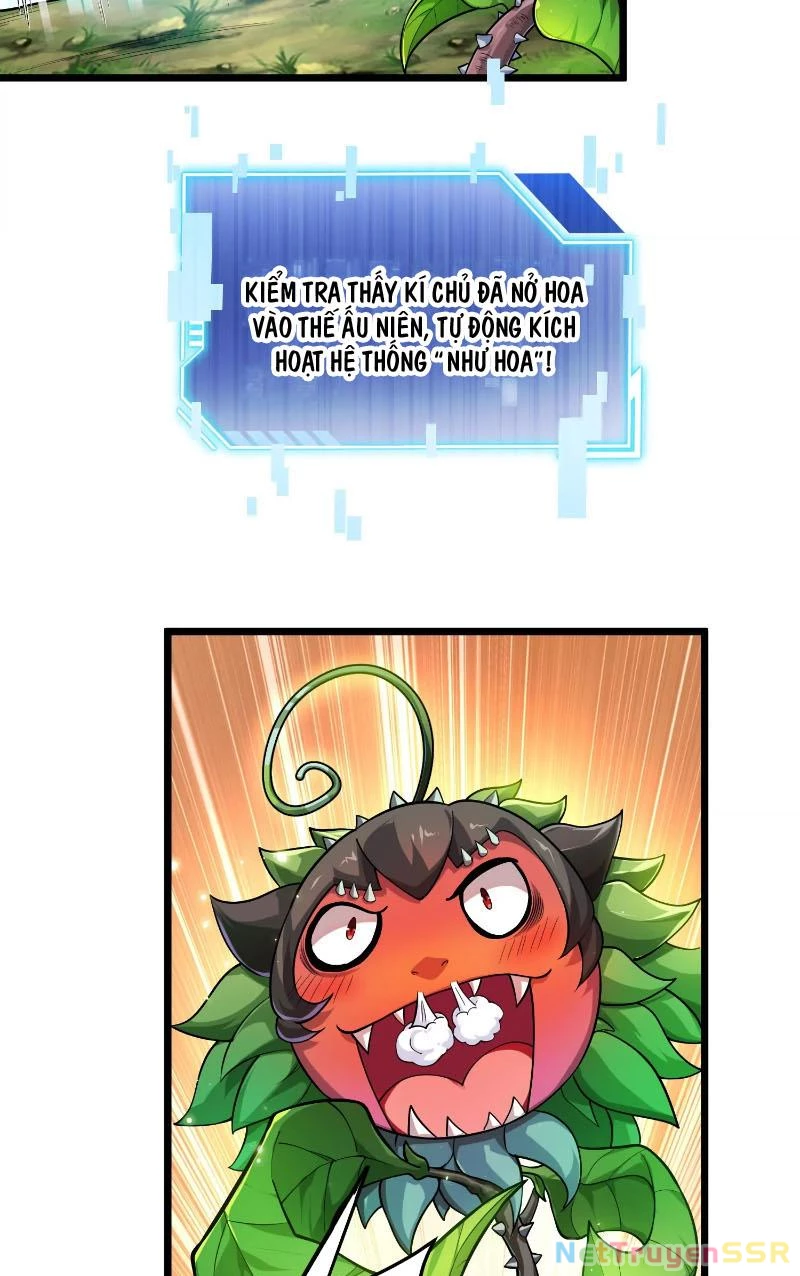 Thôn phệ đi, đại chùy hoa Chapter 1 - Trang 2