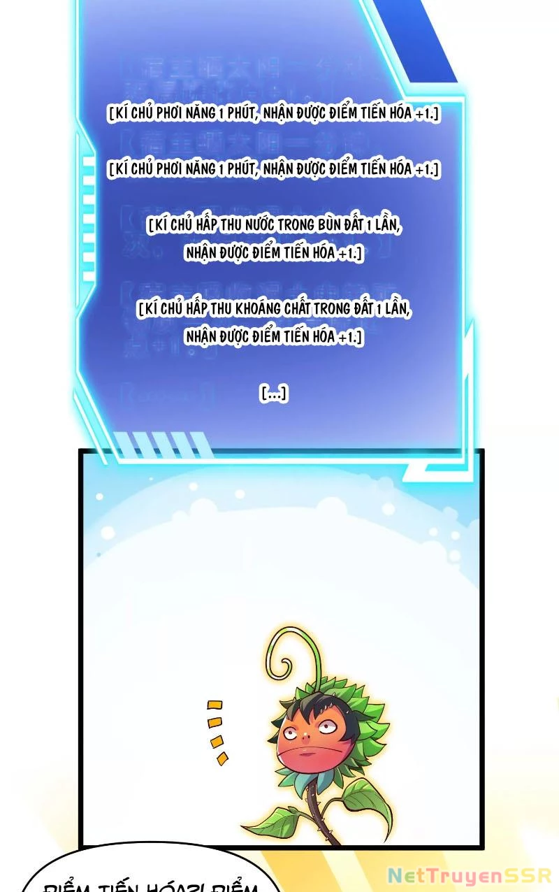 Thôn phệ đi, đại chùy hoa Chapter 1 - Trang 2