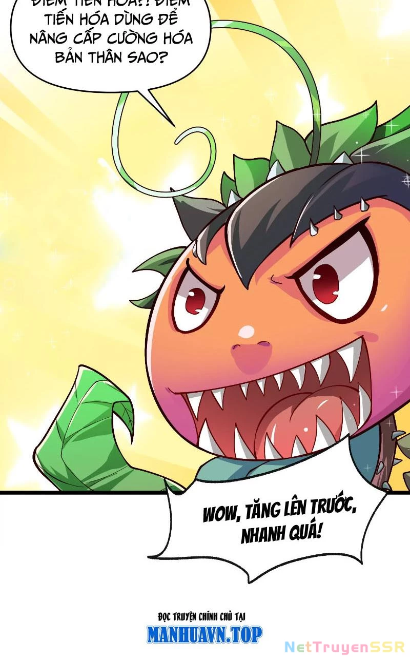 Thôn phệ đi, đại chùy hoa Chapter 1 - Trang 2