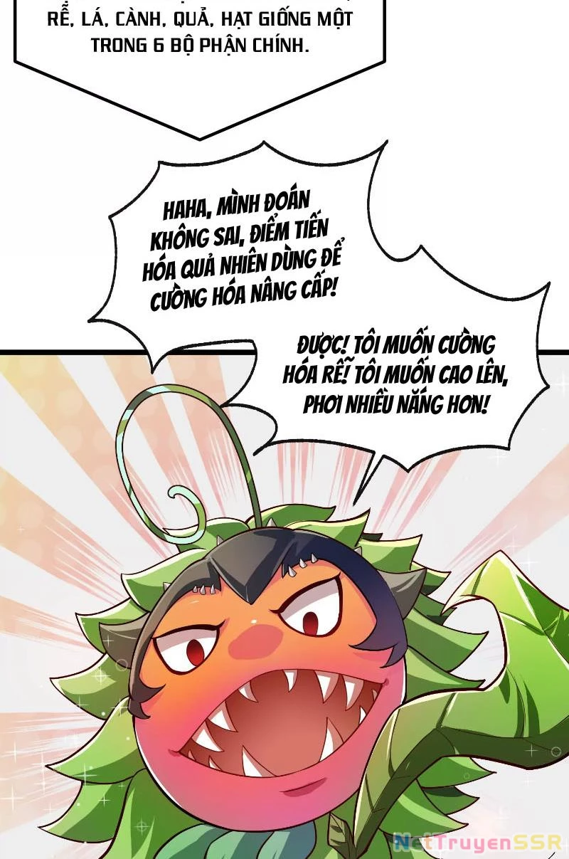 Thôn phệ đi, đại chùy hoa Chapter 1 - Trang 2