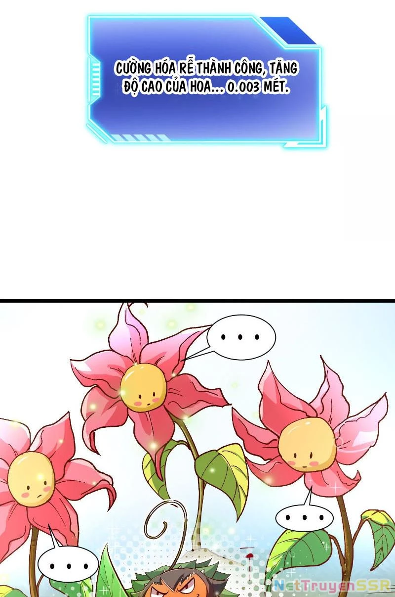 Thôn phệ đi, đại chùy hoa Chapter 1 - Trang 2