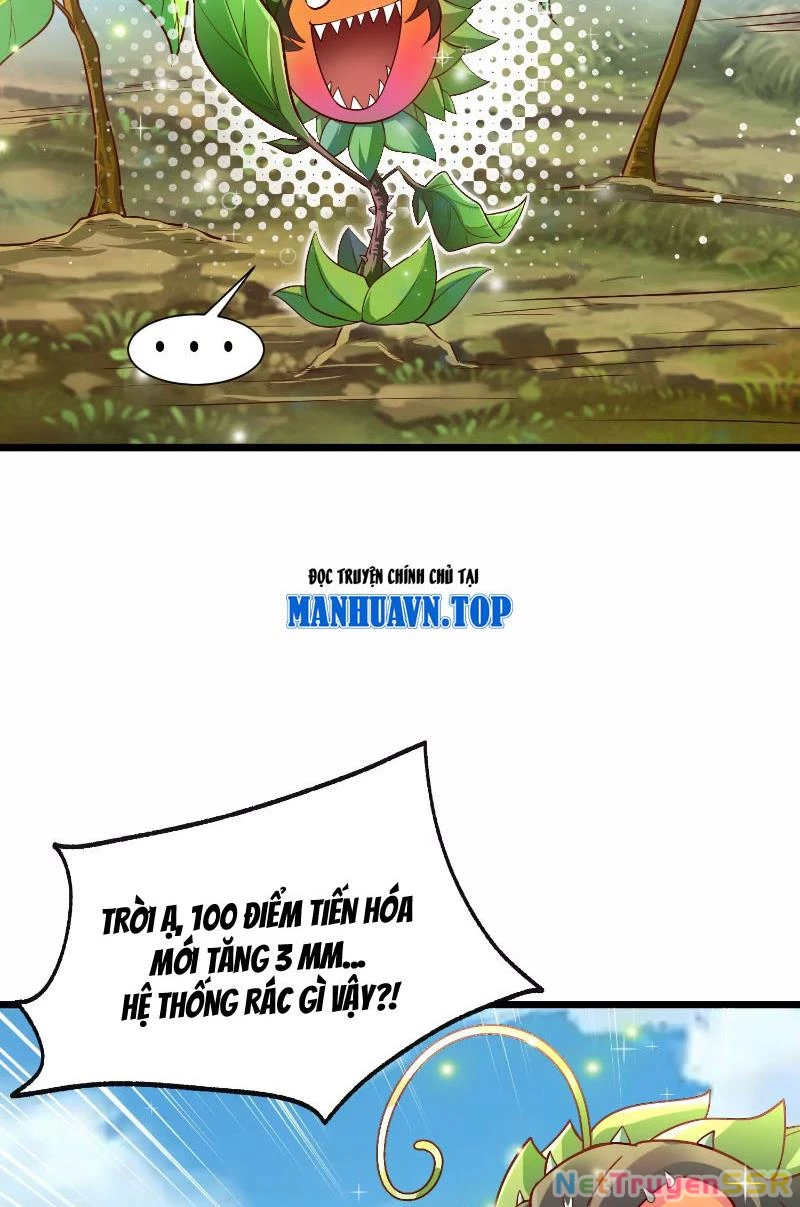 Thôn phệ đi, đại chùy hoa Chapter 1 - Trang 2