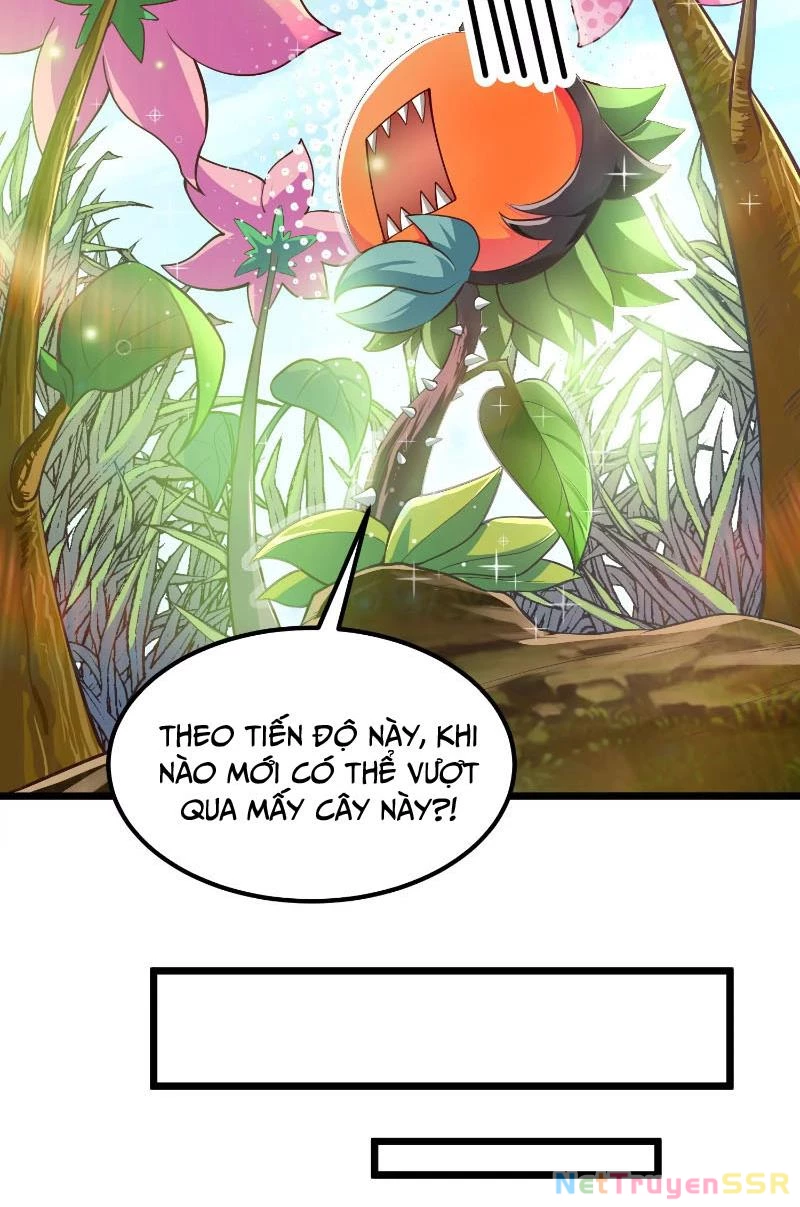 Thôn phệ đi, đại chùy hoa Chapter 1 - Trang 2