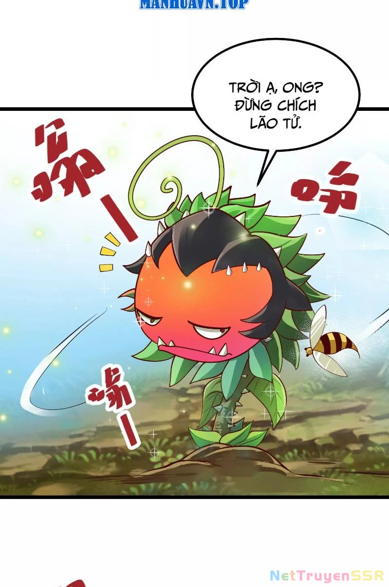 Thôn phệ đi, đại chùy hoa Chapter 1 - Trang 2