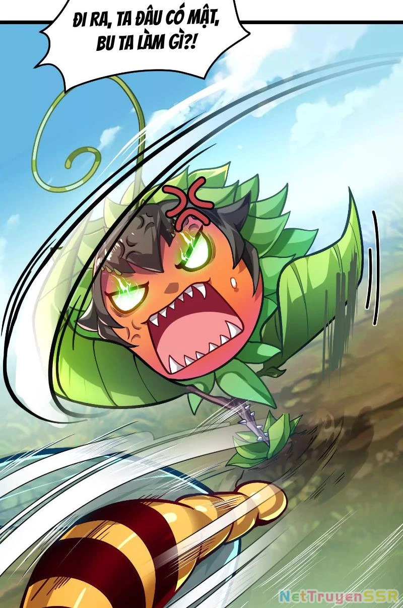 Thôn phệ đi, đại chùy hoa Chapter 1 - Trang 2